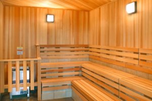 sauna mixte geneve paquis