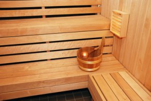 sauna bausatz